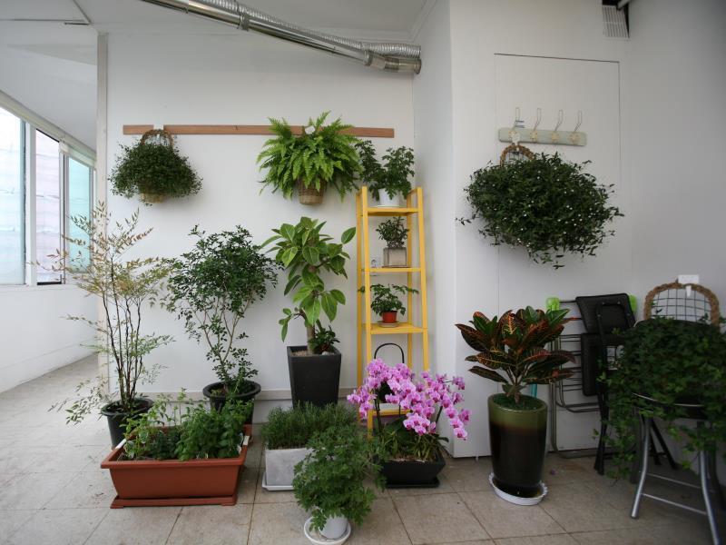 Hostel Lian - Seoul